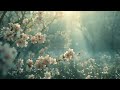 Spring + Ethereal Melancholic Meditative Neoclassical Ambient Music