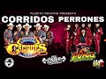 Corridos Perrones (plebito roofing presenta) Caciques vs Pumas del Norte