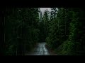 The perfect healing melody for a good night's sleep, the sound of rain in the forest (ASMR, 8 hours)