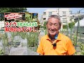 家庭菜園や農園の枝豆栽培で害虫対策＆収穫量UP！6月にやるべき先端摘芯や枝豆の育て方を徹底解説！【農園ライフ】