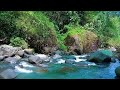 Relaxing water sound from mountain river for instantly sleeping, peaceful soothing soul