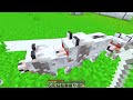 1 AARON vs 100 APHMAUS In Minecraft!