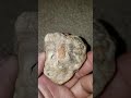Wired rocks four. My biggest agate.