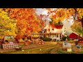 🍎🌽 Autumn Farm ASMR Ambience | Harvest Time | Autumn Leaves & Pumpkin Please!