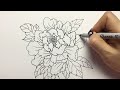 29 Line Drawing Peony / Black and White Arts