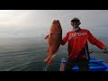 RED SNAPPER Sak Bantal Guling vs Umpan Jig 150 gr !! Jigging Full Strike