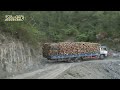 10 Extreme Dangerous Big Logging Wood Truck Driving Skill Heavy Equipment Loading Climbing Working