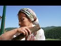 Village Life: Harvesting Broad Beans and Cooking Chicken Biryani and Beans Pilaf