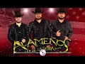 Los Alameños De La Sierra Mix Puro Amor ❤️2023 /Dj PotosinoSax