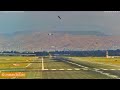 Esta mañana en el aeropuerto de Málaga: Un ave obliga a un avión de un aterrizaje frustrado