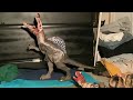 Custom Jurassic Park 3 Spinosaurus Action Figure (Stop Motion)