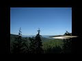 Colville forest 2012P6.avi