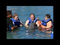 VIP Dolphin Experience Amber Cove