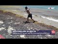 „Meeresrotz“ dehnt sich in italienischer Adria aus | krone.tv NEWS