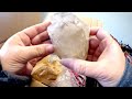 Unboxing 40lb Crystal Mystery box bought a whole table of Crystal's and Gemstones