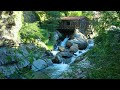 Relaxing Music with Nature Sounds | Relaxing River Sounds | Morning Sound Effects | Birds Sounds