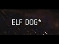 My Dog Recreated Elf