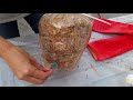 DIY Pink Oyster Mushrooms at home (Pleurotus Djamor)