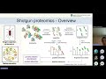 Introduction to Metaproteomics: Gustavo Diaz