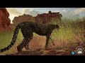 Primal Earth: Cheetah