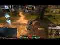 Guild Wars 2 Invisible Back & Weapons Bug
