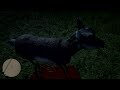 Red Dead Redemption 2 Immortal  Deer
