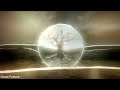 Zorro Nebula - Beginning Cycle MV (Full Album)