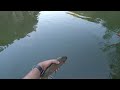 Pescando en Peña Mala | ¡Captura la trucha más grande del embalse con esta técnica!