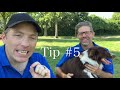 5 Quick Tips To Stop Your Dog From Pulling On The Leash