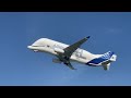 PURE AIRBUS AVIATION AT THE HAMBURG AIRBUS FACTORY (4K) | Airbus Belugas & More!