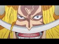 4K One Piece「 AMV」 Lay All Your Love On Me