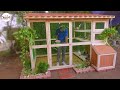 8 minutes learn to make bird cage from wood