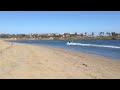 At The Races: Dog vs Jet Ski