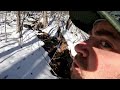 Winter Adirondack Whitetail Deer Hunting 2023