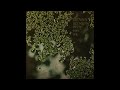 Denny Kemps- Synthetic Sea Vol I (Full Album, 2019)