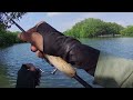 Telat Dikit Tamat..!! Coba Mancing Di Pohon Ambruk Umpan Turun Langsung Disikat || Mancing Kerapu