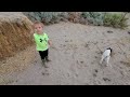 Baby Goat Playing With Toddler Is The Cutest Thing You'll See All Day