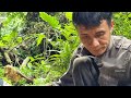 Build an underground shelter - Warm and safe survival - Tropical forest