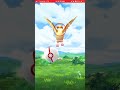 May 31 Mega Pidgeot raid