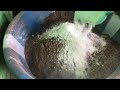 Don’t know how to make Tilapia fish feed? WATCH THIS