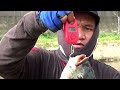 FISHING TILAPIA..!! Rekor Baru Mancing ikan Nila super Besar Rell sampai menjerit cruit