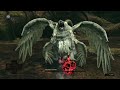 Strongest enemy vs Bosses - Dark Souls Remastered
