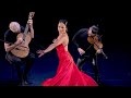 Tango y Flamenco