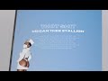 Megan Thee Stallion - Thot Shit [Official Lyric Video]