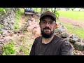 Storm Damage Cleanup: Getting a Hung-Up Tree on the Ground and Cut Up for Firewood