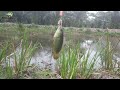 SEKECEWA ITU‼️BIKIN KEWALAHAN SAMPAI GAK KUAT | Solo Fishing