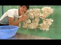 Mushrooms are easy to grow and harvest every day | Step by step for beginners