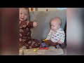 Funniest Babies and Sibling Playing Make Cute Trouble #2 |Funny Babies Video