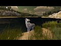 Wild Wolf MEADOWS Along the Shore!! 🐺 WOLF QUEST: WILD MEADOW • #34