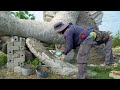 15 Days Challenge: Giant Godzilla Statue in VIETNAM